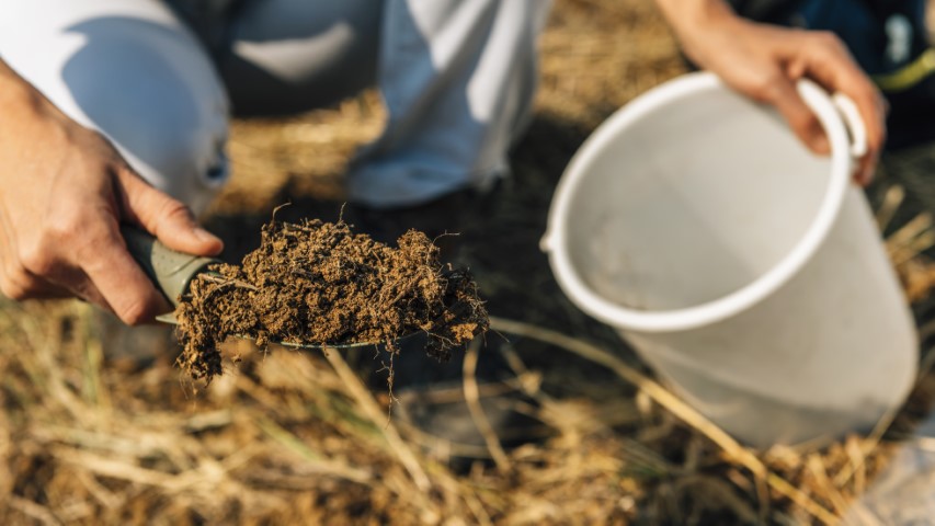Animal faeces removal service